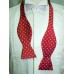 Red White Self Tie Polka.jpg